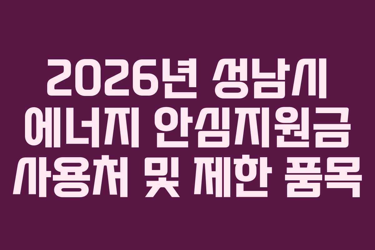 2026년 성남시 에너지 안심지원금 사용처 및 제한 품목