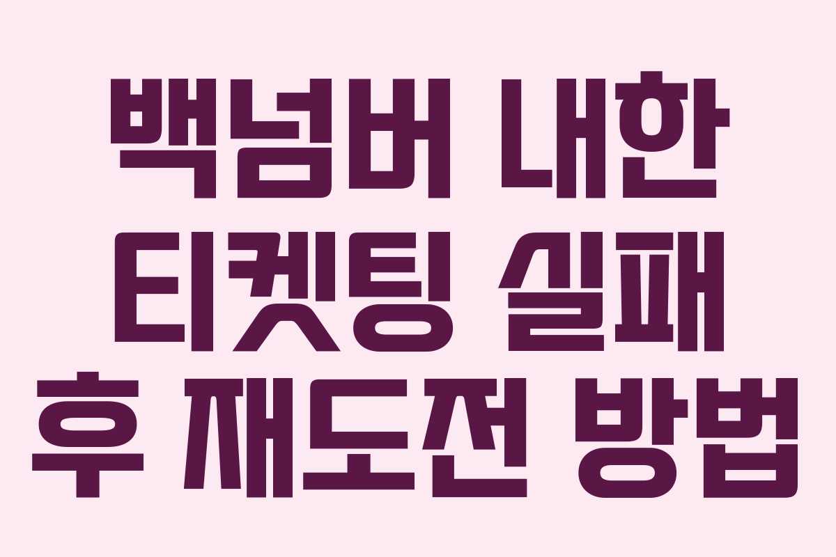 백넘버 내한 티켓팅 실패 후 재도전 방법