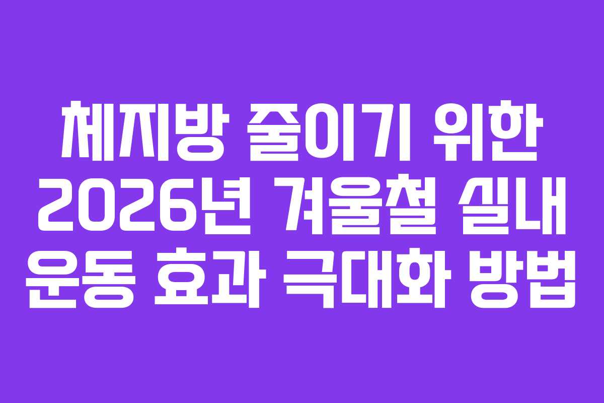 체지방 줄이기 위한 2026년 겨울철 실내 운동 효과 극대화 방법