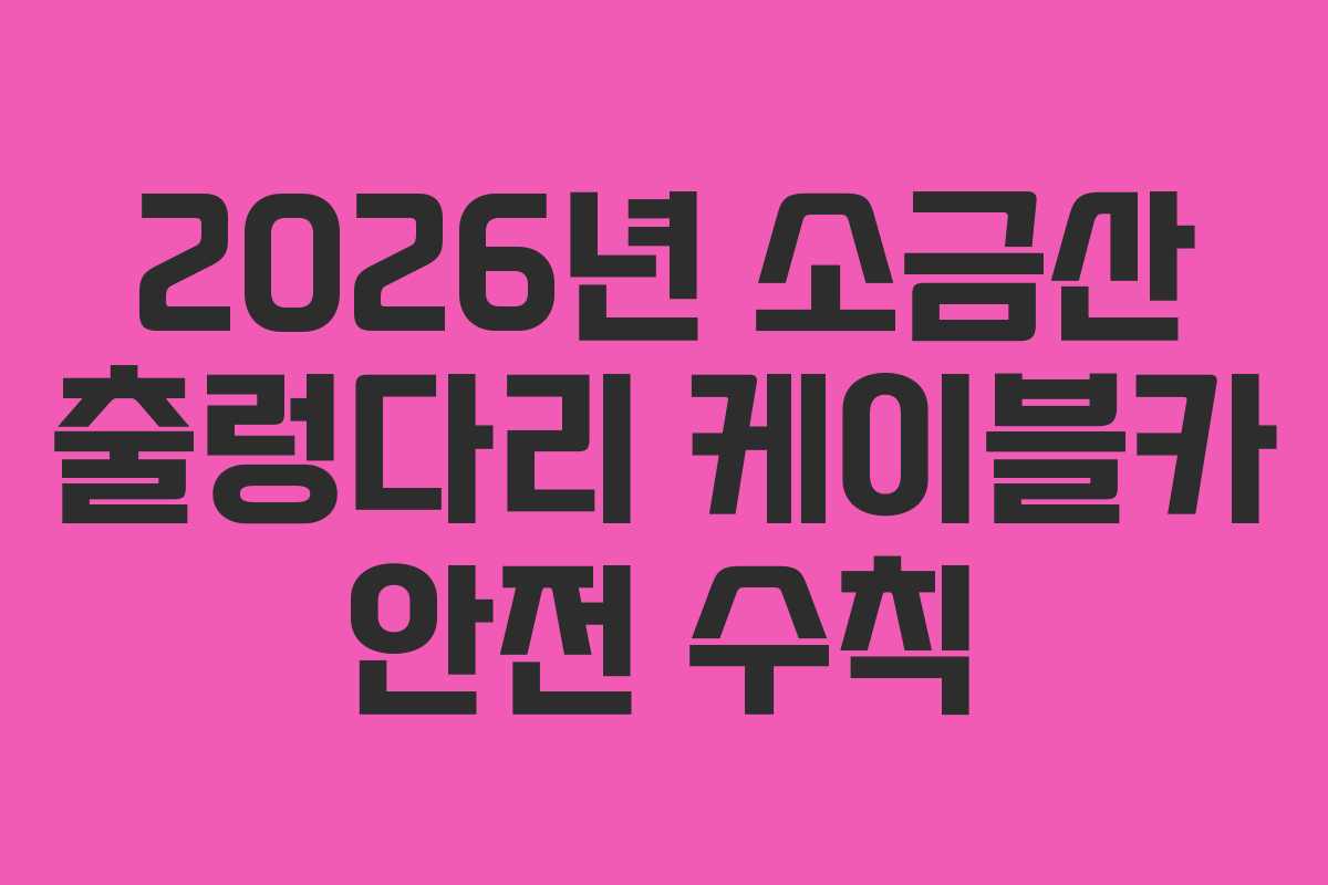 2026년 소금산 출렁다리 케이블카 안전 수칙