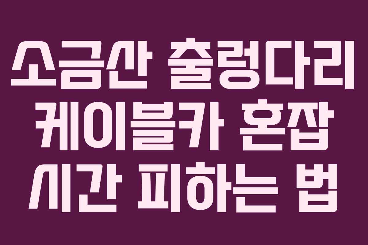 소금산 출렁다리 케이블카 혼잡 시간 피하는 법