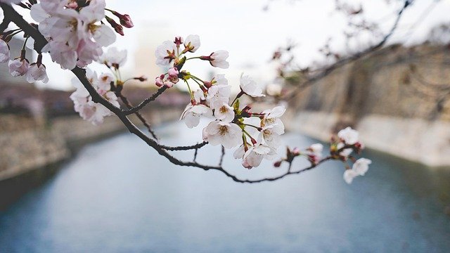 관련 이미지