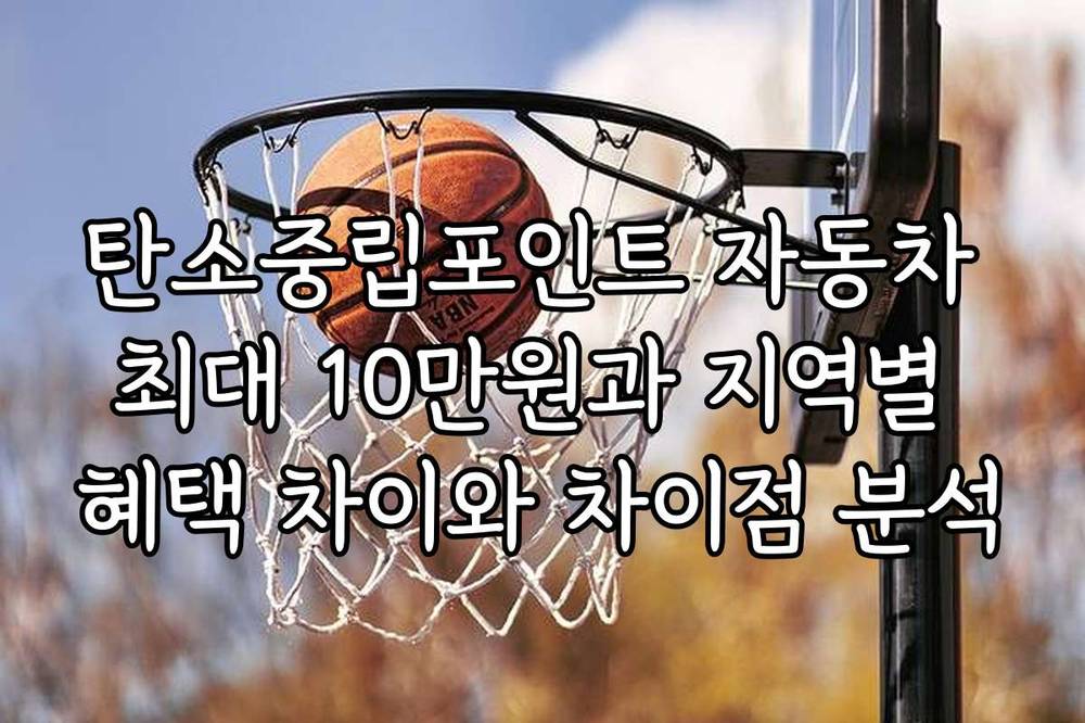 탄소중립포인트 자동차 최대 10만원과 지역별 혜택 차이와 차이점 분석