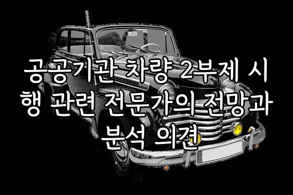 공공기관 차량 2부제 시행 관련 전문가의 전망과 분석 의견
