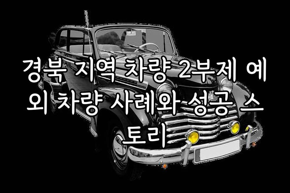 경북 지역 차량 2부제 예외 차량 사례와 성공 스토리