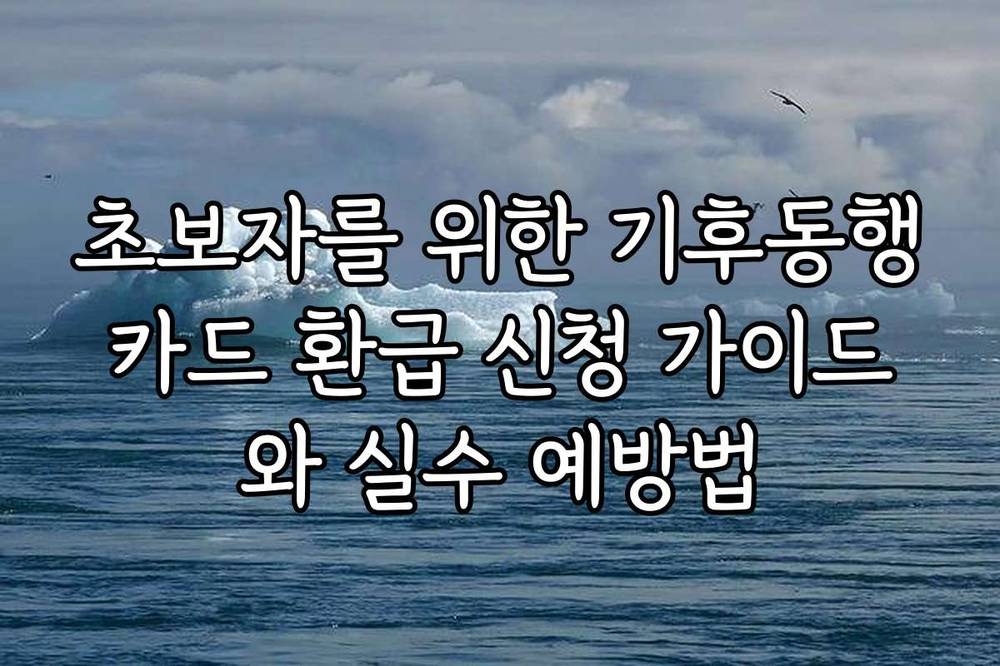 초보자를 위한 기후동행카드 환급 신청 가이드와 실수 예방법