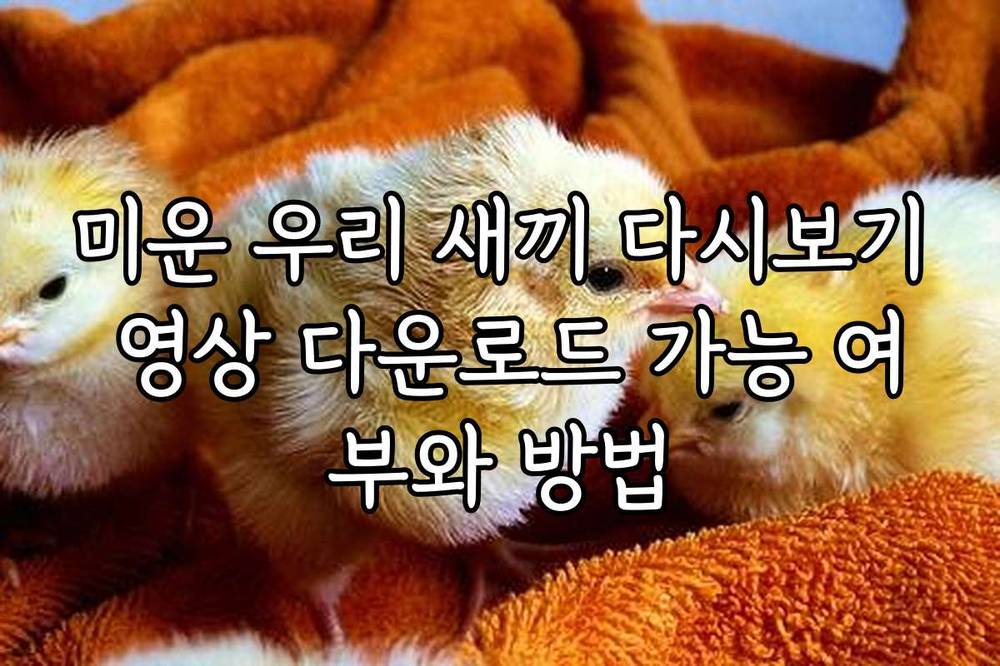 미운 우리 새끼 다시보기 영상 다운로드 가능 여부와 방법