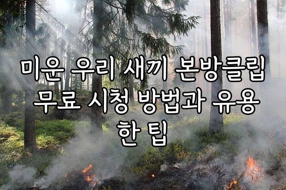 미운 우리 새끼 본방클립 무료 시청 방법과 유용한 팁