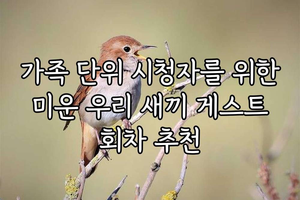 가족 단위 시청자를 위한 미운 우리 새끼 게스트 회차 추천