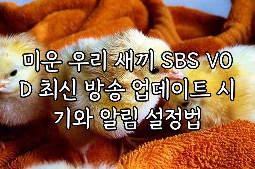 미운 우리 새끼 SBS VOD 최신 방송 업데이트 시기와 알림 설정법