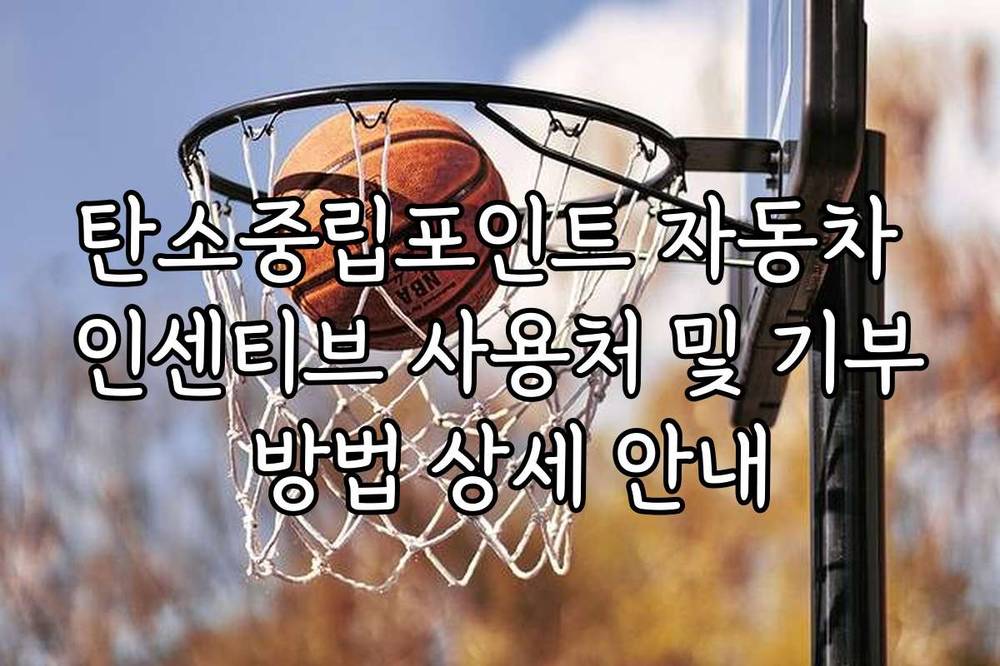 탄소중립포인트 자동차 인센티브 사용처 및 기부 방법 상세 안내