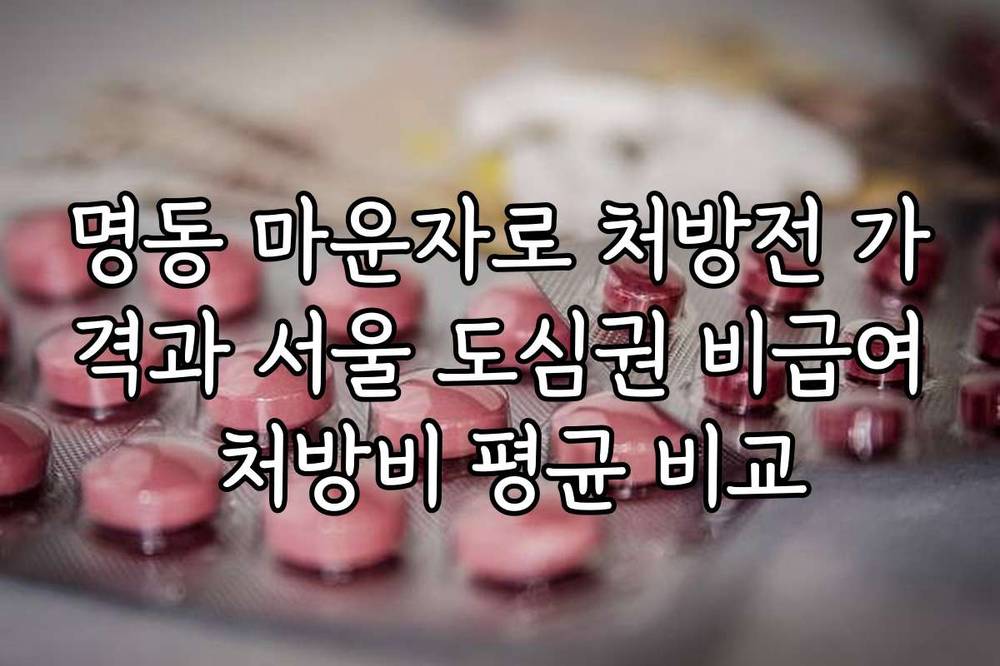 명동 마운자로 처방전 가격과 서울 도심권 비급여 처방비 평균 비교