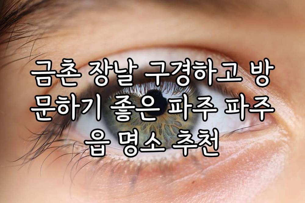 금촌 장날 구경하고 방문하기 좋은 파주 파주읍 명소 추천