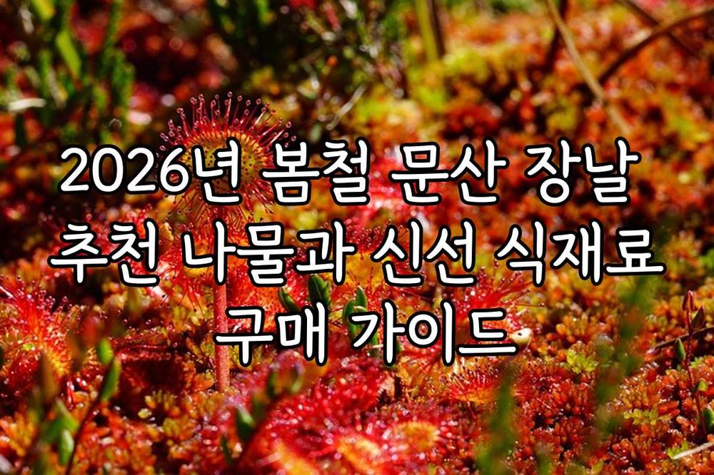 2026년 봄철 문산 장날 추천 나물과 신선 식재료 구매 가이드