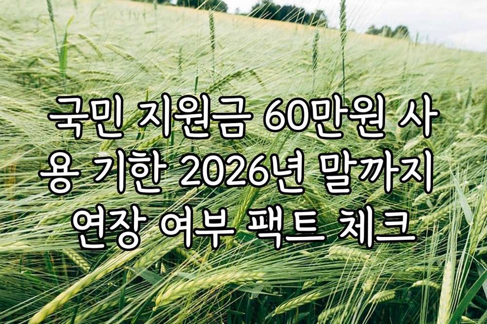 국민 지원금 60만원 사용 기한 2026년 말까지 연장 여부 팩트 체크