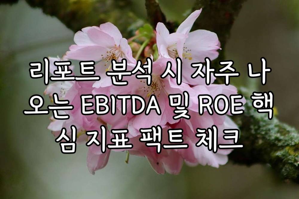 리포트 분석 시 자주 나오는 EBITDA 및 ROE 핵심 지표 팩트 체크