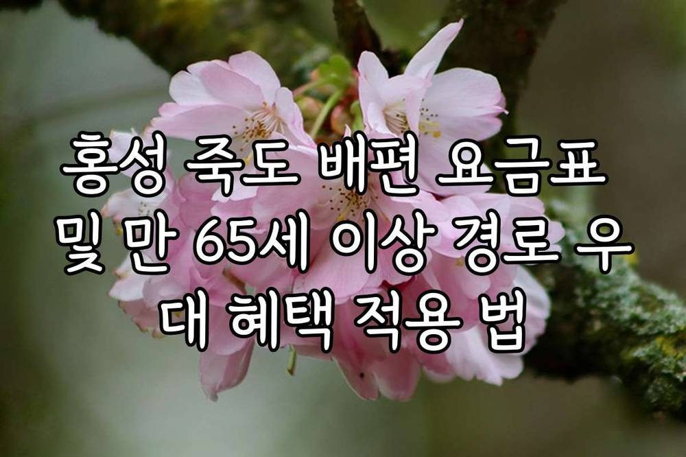 홍성 죽도 배편 요금표 및 만 65세 이상 경로 우대 혜택 적용 법
