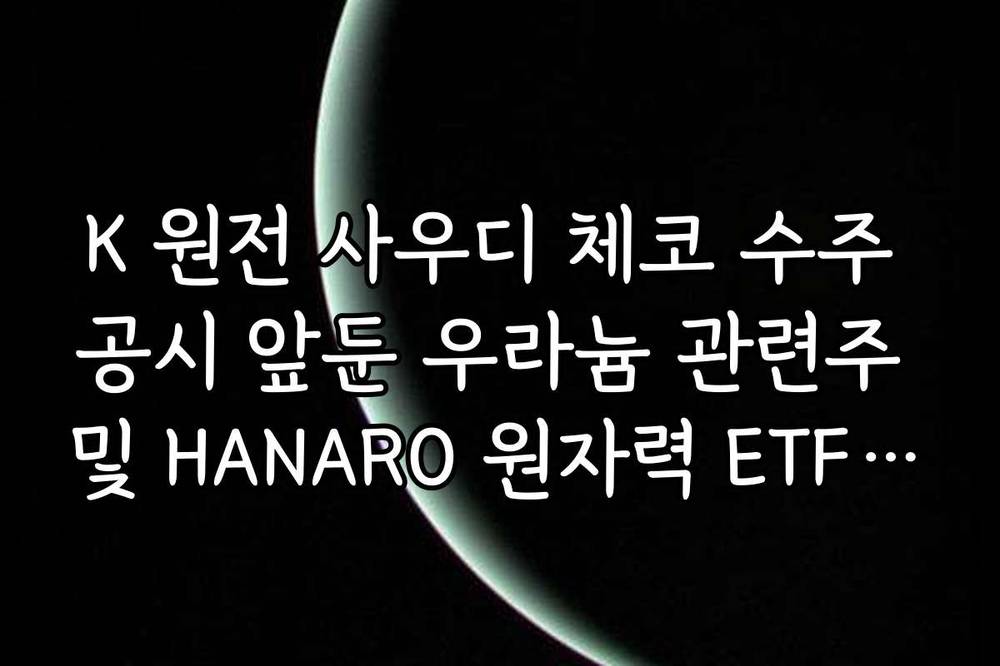 K 원전 사우디 체코 수주 공시 앞둔 우라늄 관련주 및 HANARO 원자력 ETF 전망