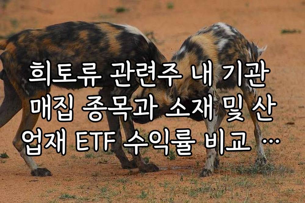 희토류 관련주 내 기관 매집 종목과 소재 및 산업재 ETF 수익률 비교 분석