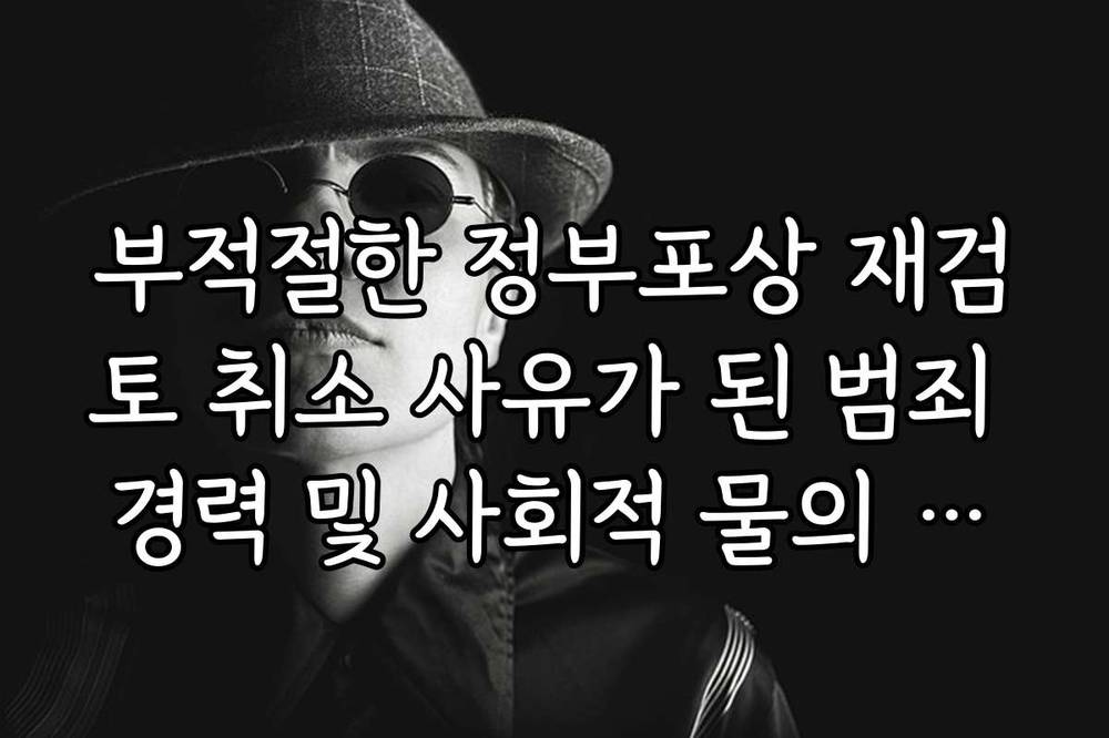부적절한 정부포상 재검토 취소 사유가 된 범죄 경력 및 사회적 물의 기준 안내