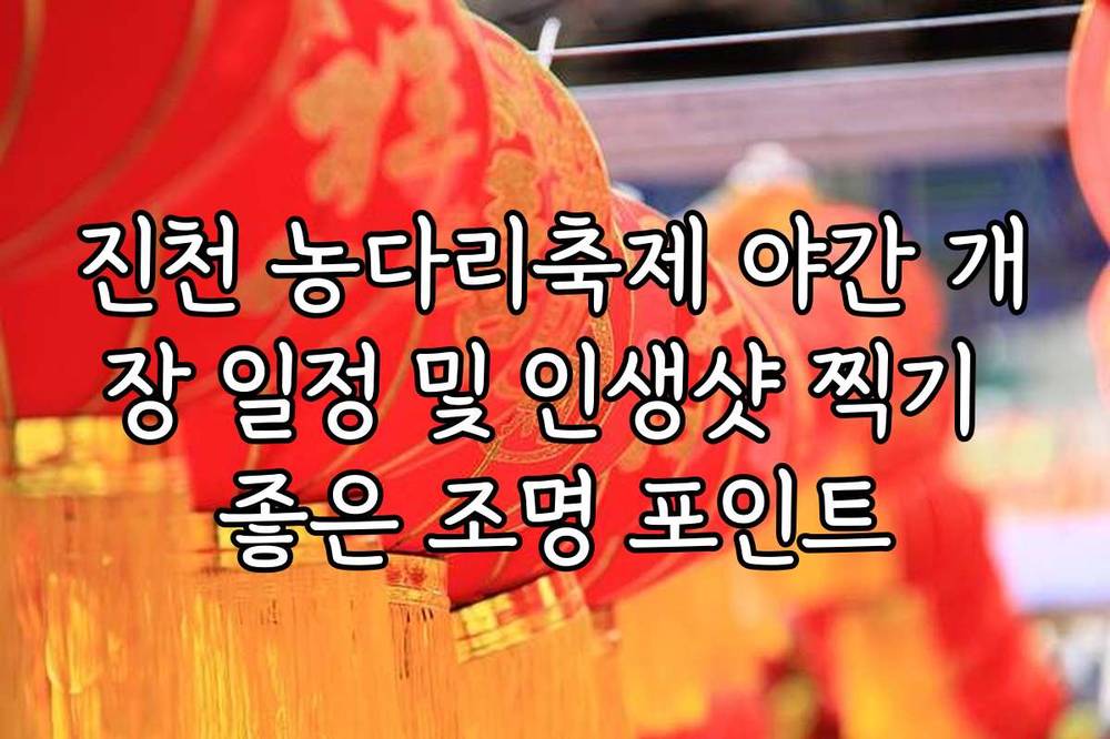 진천 농다리축제 야간 개장 일정 및 인생샷 찍기 좋은 조명 포인트