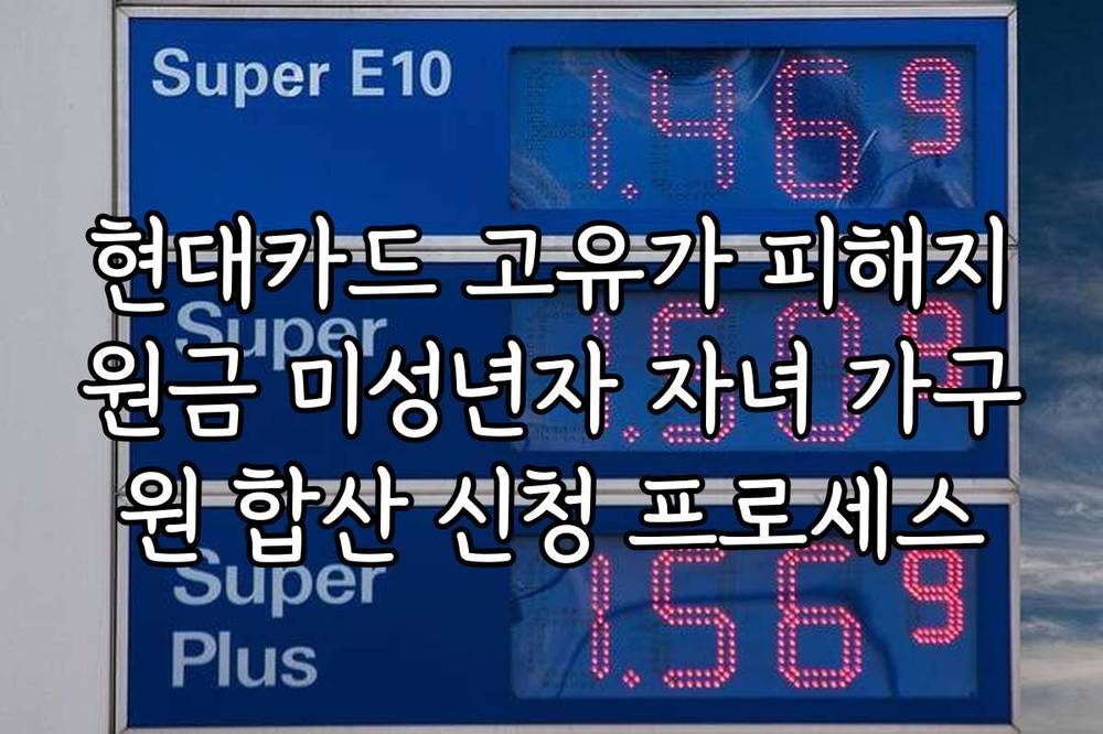 현대카드 고유가 피해지원금 미성년자 자녀 가구원 합산 신청 프로세스