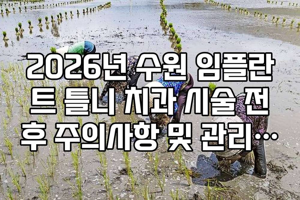 2026년 수원 임플란트 틀니 치과 시술 전후 주의사항 및 관리 용품 추천