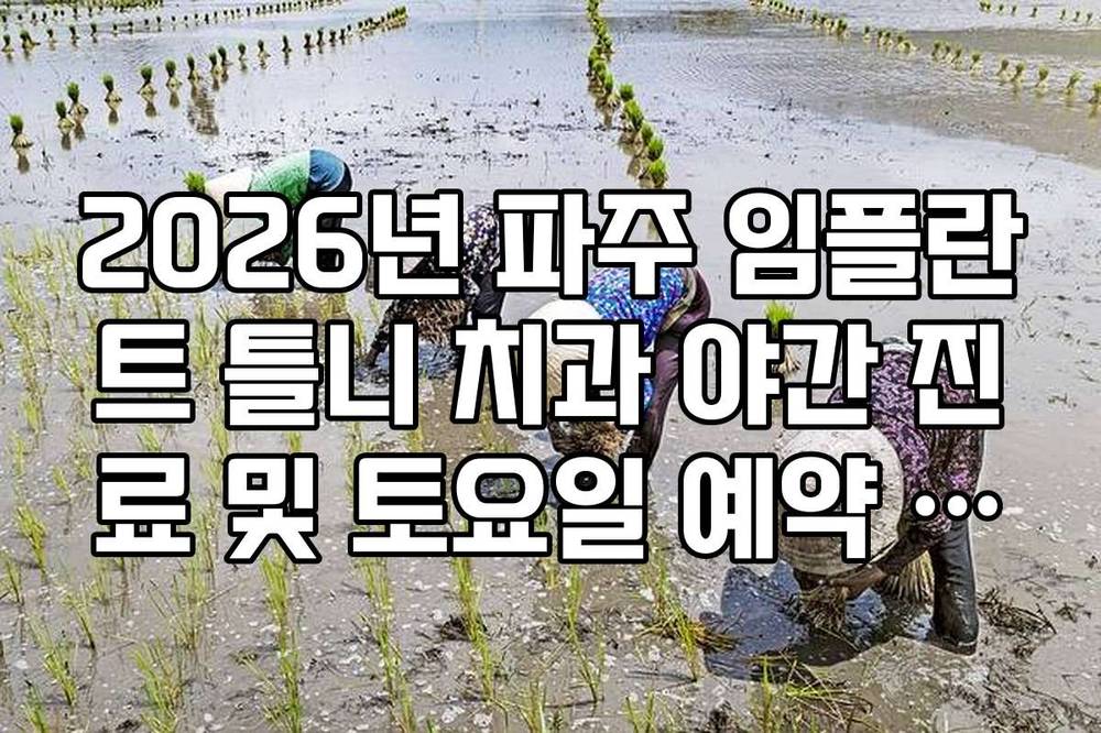 2026년 파주 임플란트 틀니 치과 야간 진료 및 토요일 예약 가능 지점 정리
