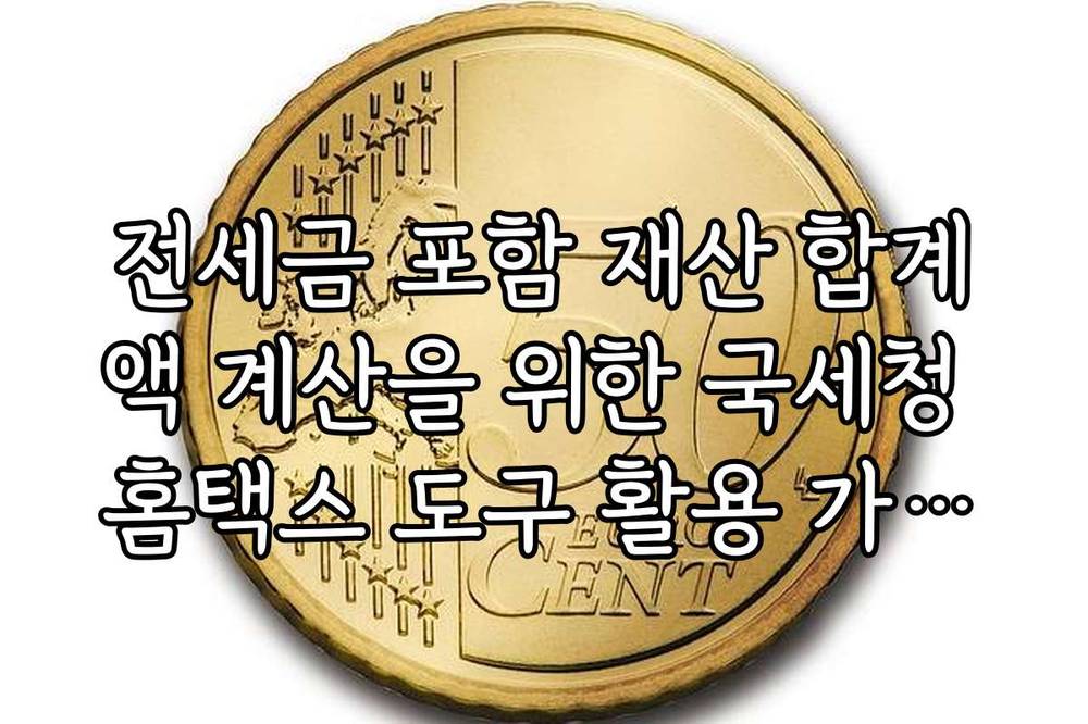 전세금 포함 재산 합계액 계산을 위한 국세청 홈택스 도구 활용 가이드