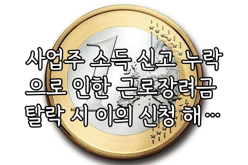 사업주 소득 신고 누락으로 인한 근로장려금 탈락 시 이의 신청 해결책