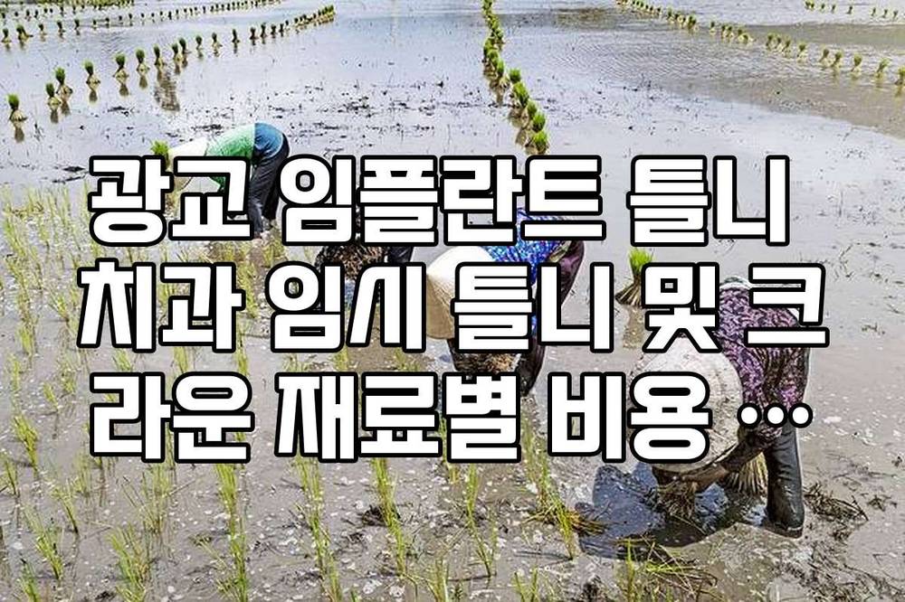 광교 임플란트 틀니 치과 임시 틀니 및 크라운 재료별 비용 차이 정리