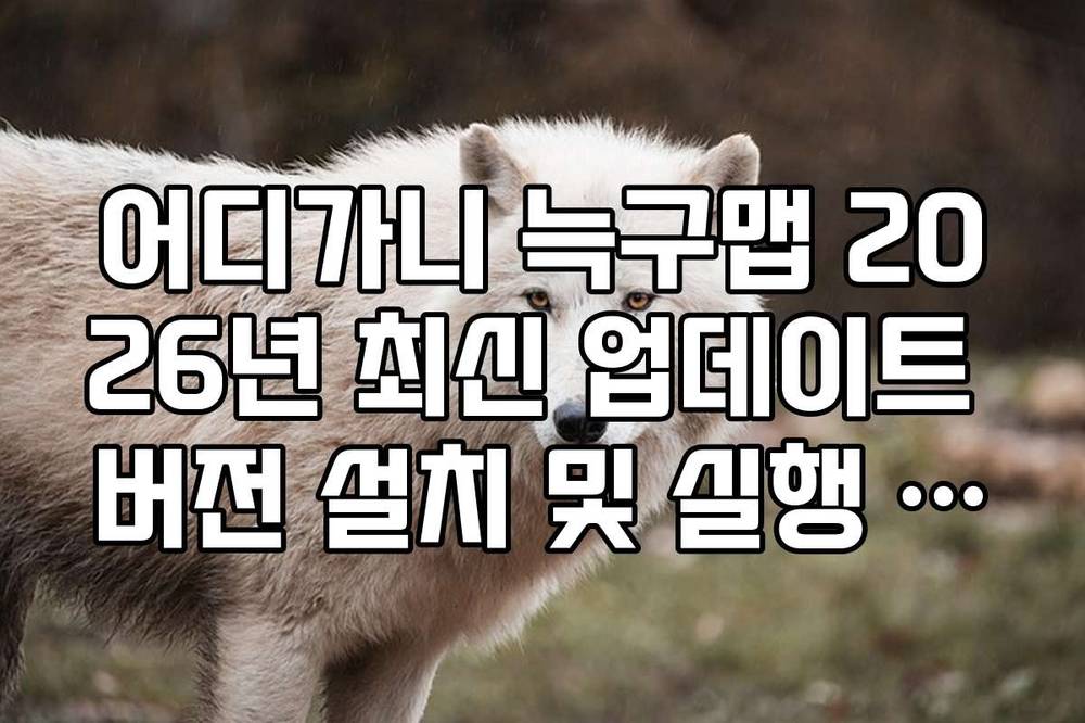 어디가니 늑구맵 2026년 최신 업데이트 버전 설치 및 실행 가이드