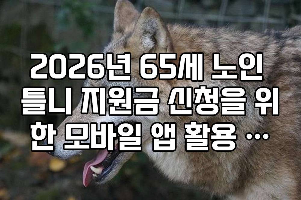2026년 65세 노인 틀니 지원금 신청을 위한 모바일 앱 활용 가이드