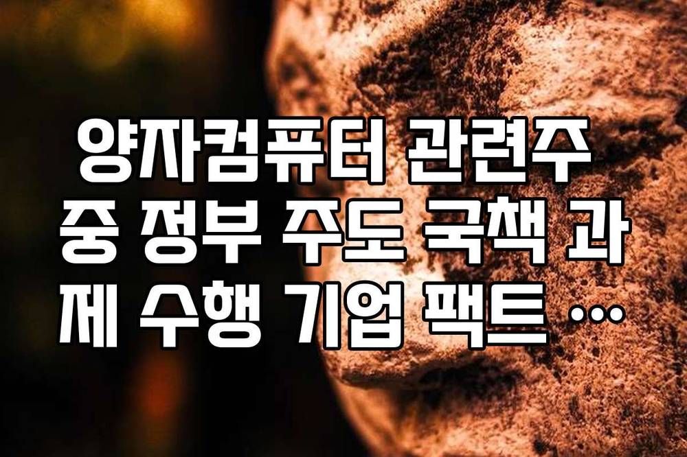 양자컴퓨터 관련주 중 정부 주도 국책 과제 수행 기업 팩트 체크리스트