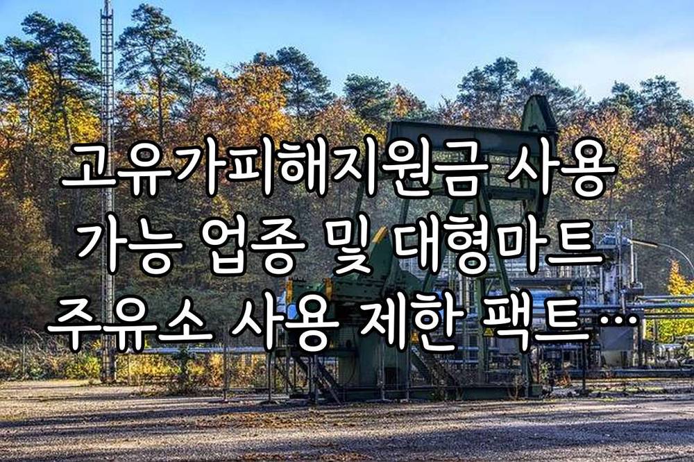 고유가피해지원금 사용 가능 업종 및 대형마트 주유소 사용 제한 팩트 체크