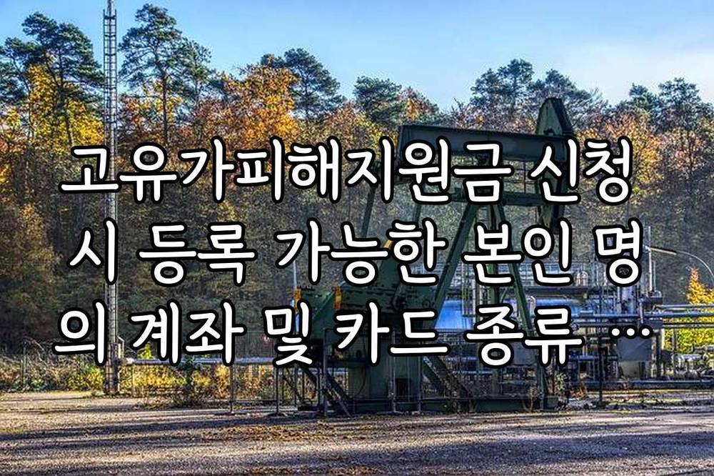 고유가피해지원금 신청 시 등록 가능한 본인 명의 계좌 및 카드 종류 정리