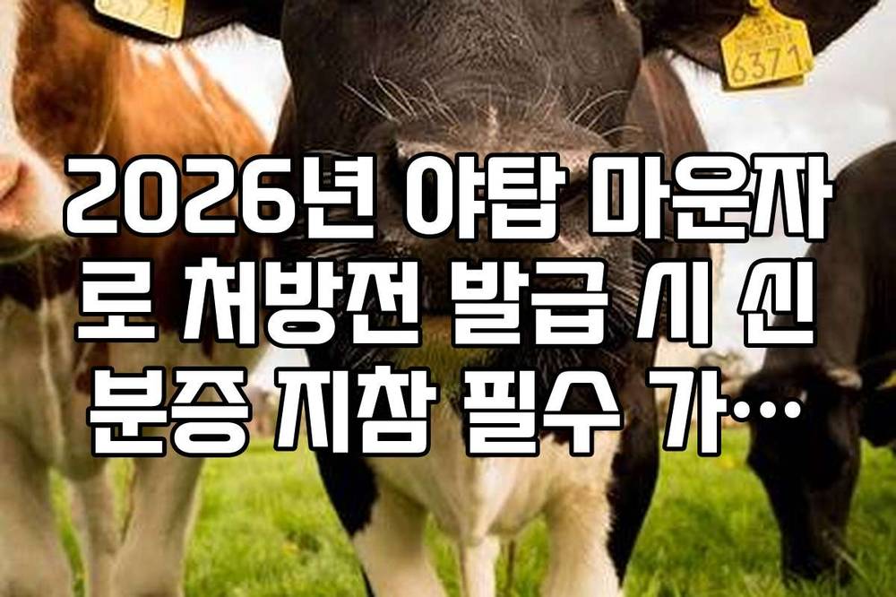2026년 야탑 마운자로 처방전 발급 시 신분증 지참 필수 가이드