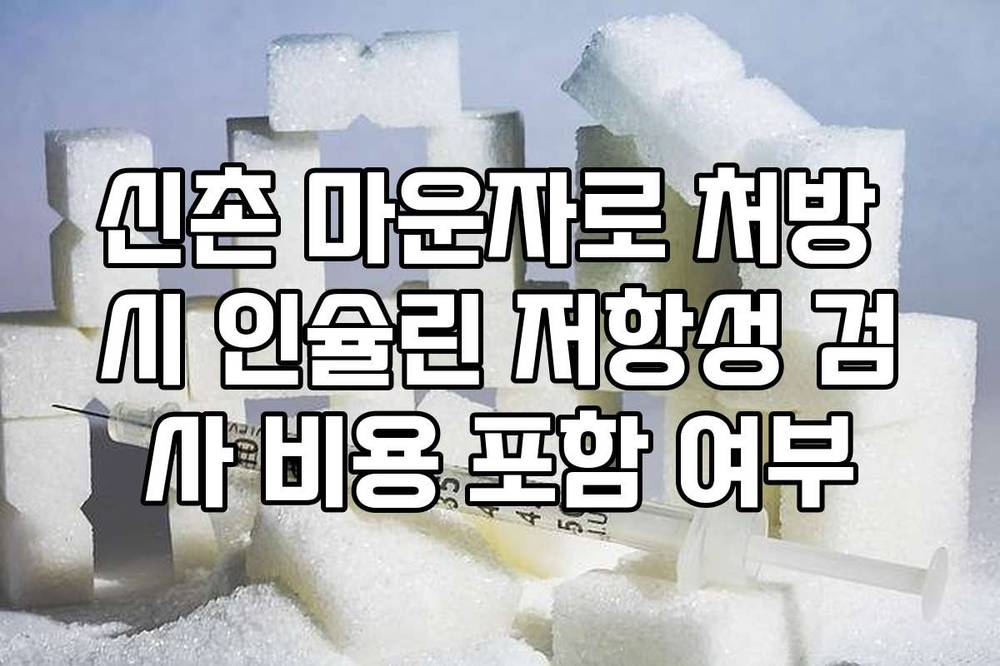 신촌 마운자로 처방 시 인슐린 저항성 검사 비용 포함 여부