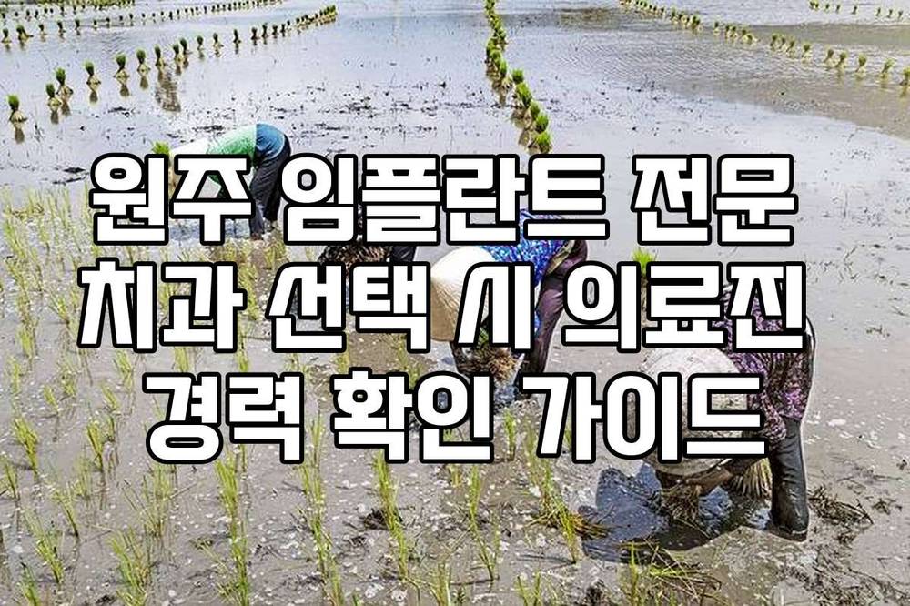원주 임플란트 전문 치과 선택 시 의료진 경력 확인 가이드