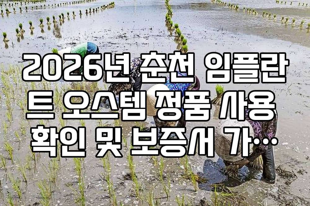 2026년 춘천 임플란트 오스템 정품 사용 확인 및 보증서 가이드
