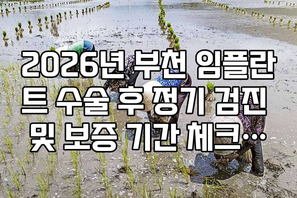 2026년 부천 임플란트 수술 후 정기 검진 및 보증 기간 체크리스트
