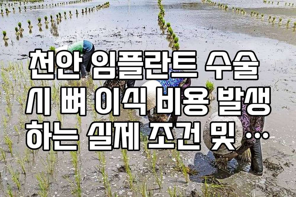 천안 임플란트 수술 시 뼈 이식 비용 발생하는 실제 조건 및 가격