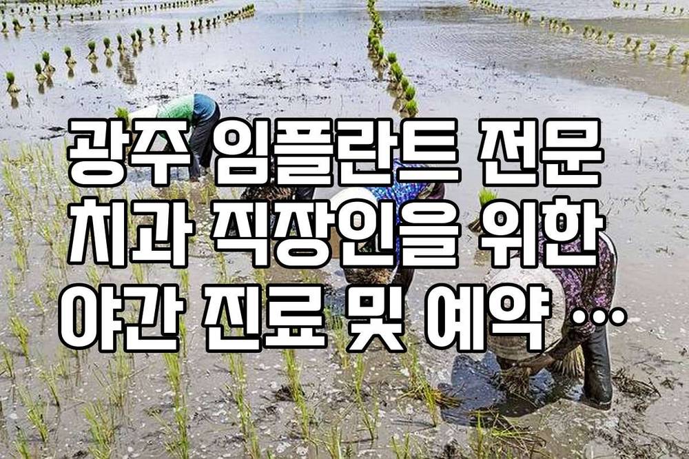 광주 임플란트 전문 치과 직장인을 위한 야간 진료 및 예약 방법
