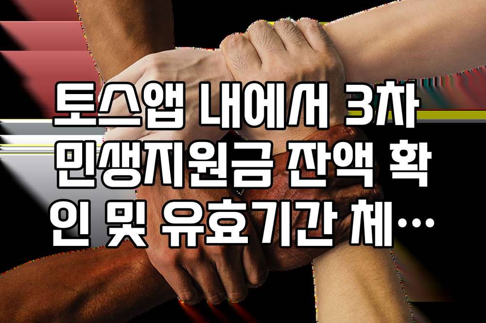 토스앱 내에서 3차 민생지원금 잔액 확인 및 유효기간 체크리스트
