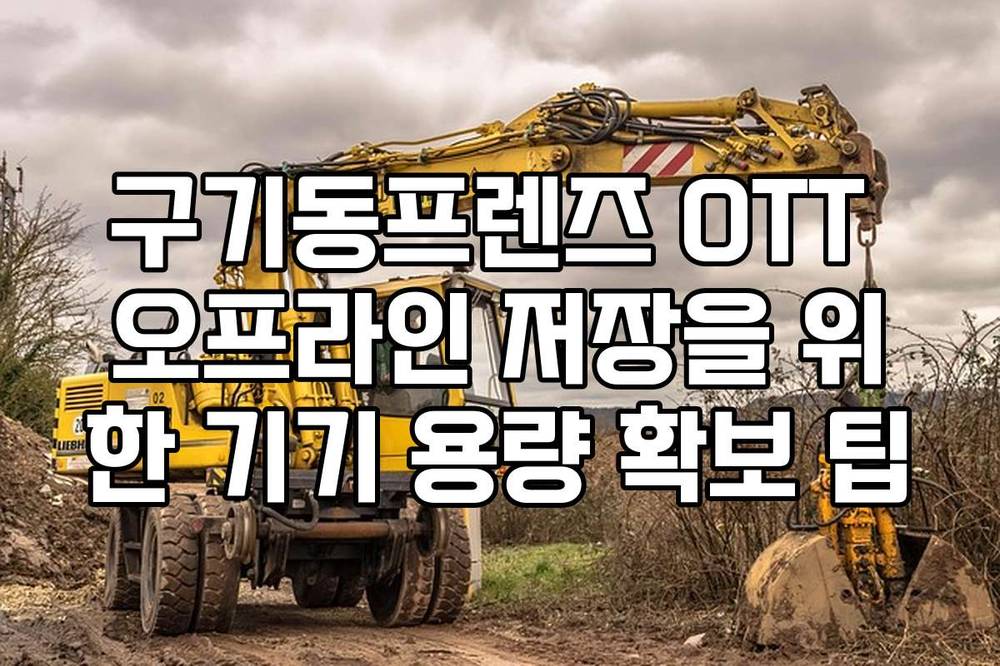 구기동프렌즈 OTT 오프라인 저장을 위한 기기 용량 확보 팁