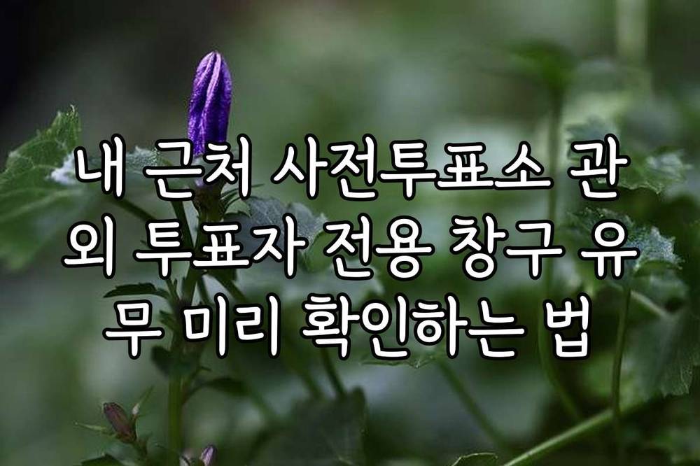 내 근처 사전투표소 관외 투표자 전용 창구 유무 미리 확인하는 법