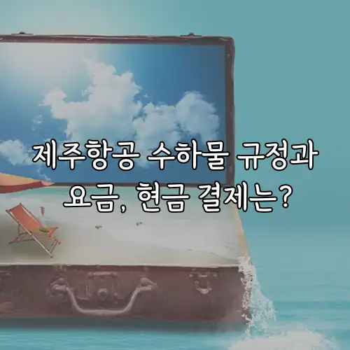 제주항공 수하물 규정과 요금, 현금 결제는?