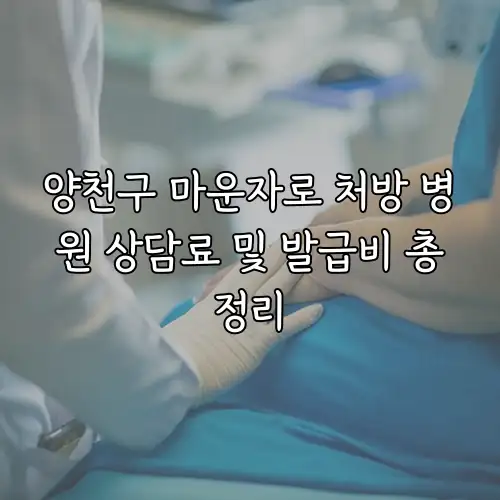 양천구 마운자로 처방 병원 상담료 및 발급비 총정리