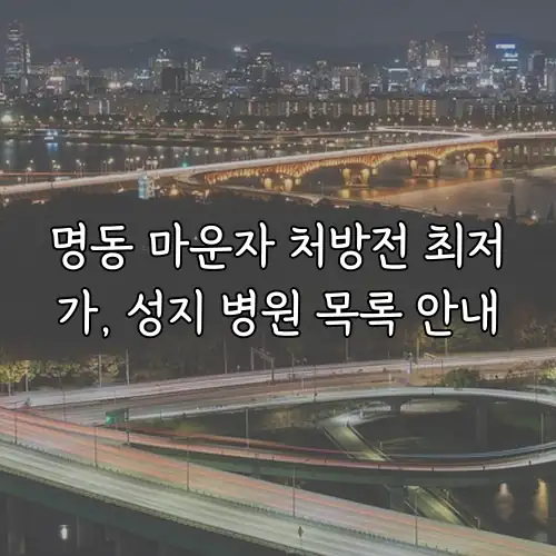 명동 마운자 처방전 최저가, 성지 병원 목록 안내