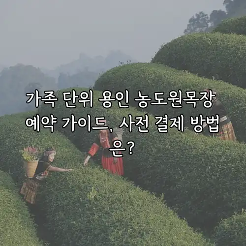 가족 단위 용인 농도원목장 예약 가이드, 사전 결제 방법은?